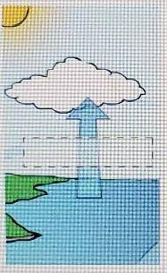 A student is making a diagram of the water cycle. What should the student label the arrow?A. Assimil