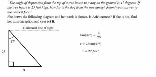 Please Help, Ill give more points, show work!