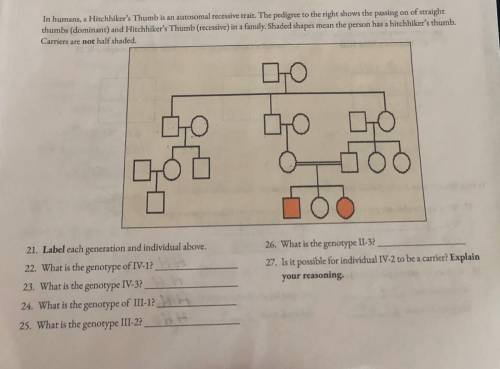 How do you solve the pedigree