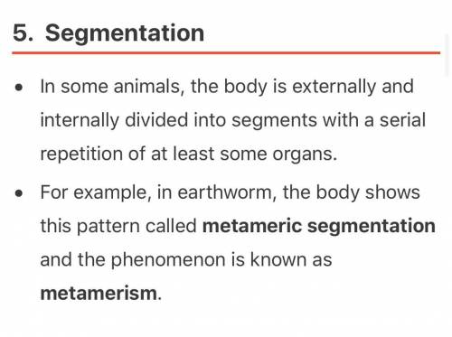 What is segmentation of the body in your own words ? ;-;