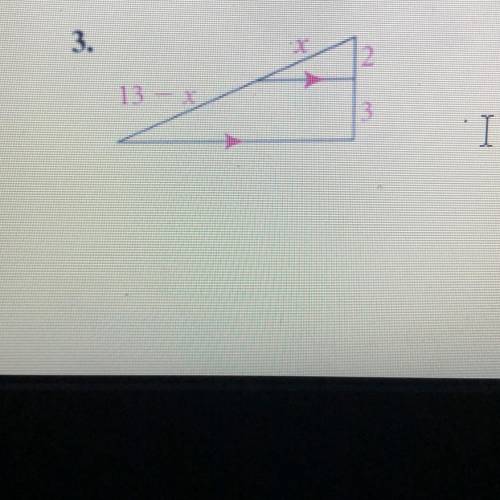 Solve for X. This is geometry I really need help please please.