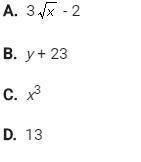 Identify the variable expression that is not a polynomial