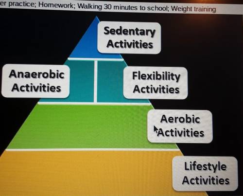 List the following four activities in the order they go in the physical activity pyramid from top to