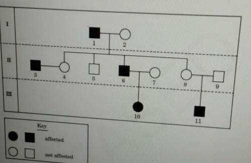 This diagram shows a pedigree for a recessive genetic disorder. What is the genotype of individual 6
