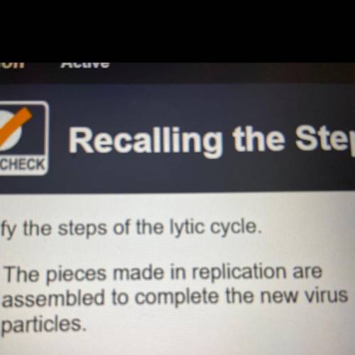 What are the steps of the lytic cycle