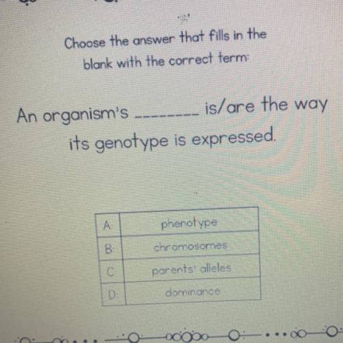 An organism’s ____ is/are the way it’s genotype is expressed.