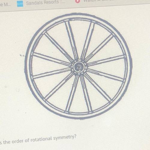 For the wheel shown, what is the order of rotational symmetry?