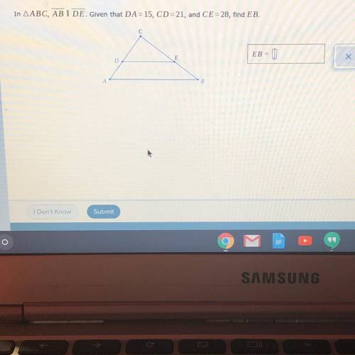 Math question, help please.