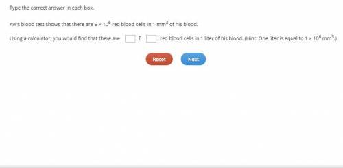 Avi's blood test shows that there are 5 × 106 red blood cells in 1 mm3 of his blood. Using a calcula