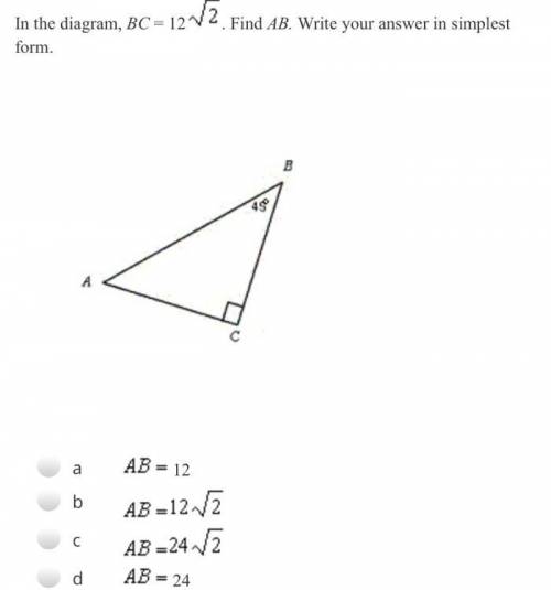 I need help please with theirs question