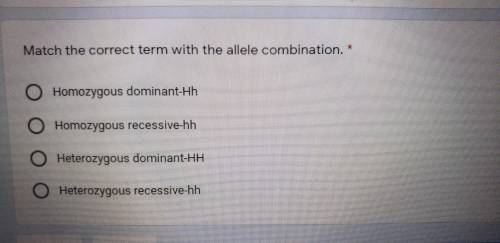 Match the correct term with the allele combination