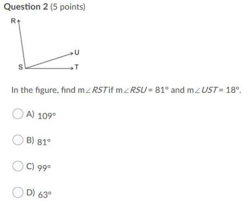 I need Help with these questions PLEASE
