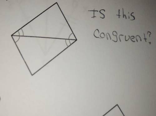 Is this congruent yes or no and explain why?