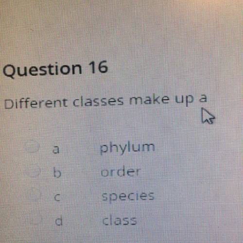 Different classes  make up a A) phylum B) order C) species D) class