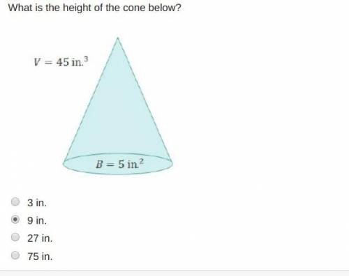 What is the height of the cone below?