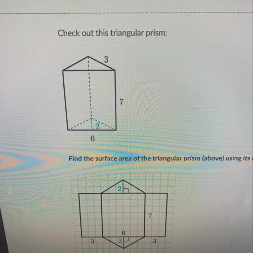 Find the surface area of the triangular prism using its net