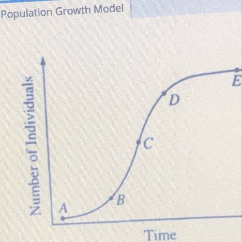 Which letter on the graph shows exponential growth.