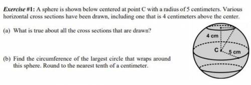 Can someone help me with question (a) and (b)? Thanks! :)