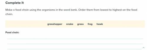 Make a food chain using the organisms in the word bank. Order them from lowest to highest on the cha