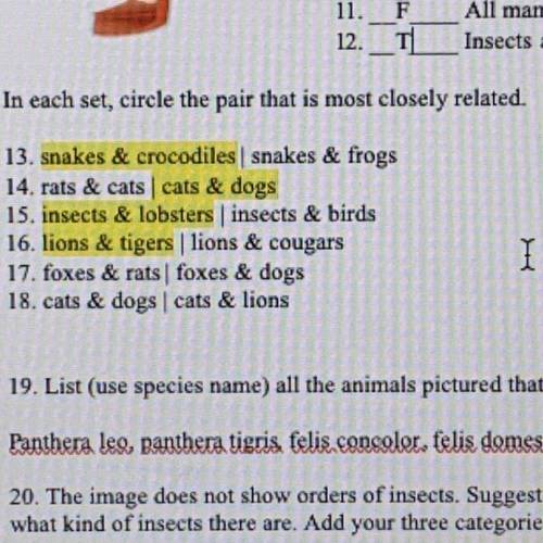 Please help with the answers I didn’t get.