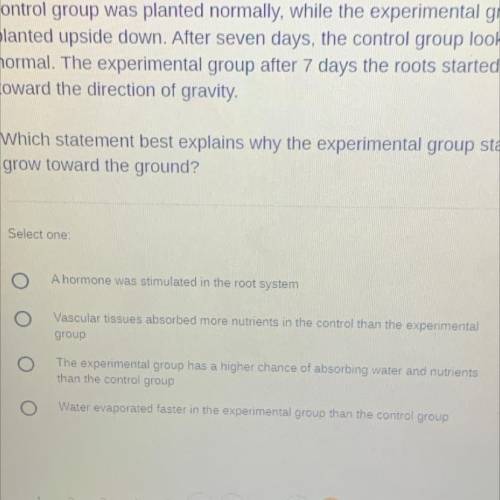 A student conducted an investigation to study gravitropism. The control group was planted normally,