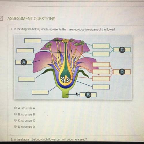 In the diagram below, which represents the male reproductive organs of the flower?