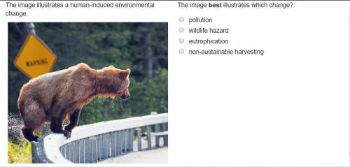 The image illustrates a human-induced environmental change. The image best illustrates which change?