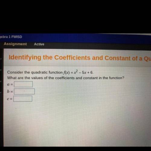 What are the values of the coefficients and constant in function