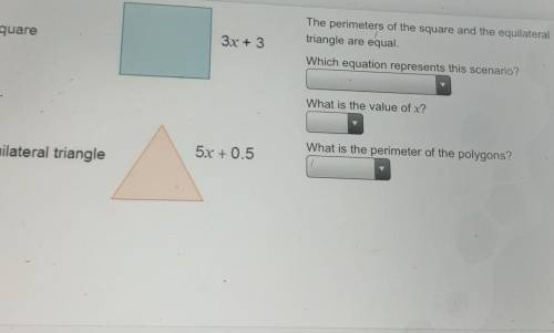 I need help pls. this is due today.also that says equalterial triangle and square