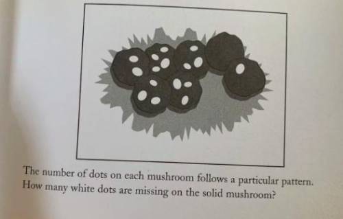 How many white dots are missing on the solid mushroom?
