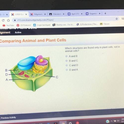 Which structures are found only in plants cells, not in animals cells?