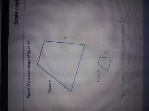 What is the value of X? Pls help!