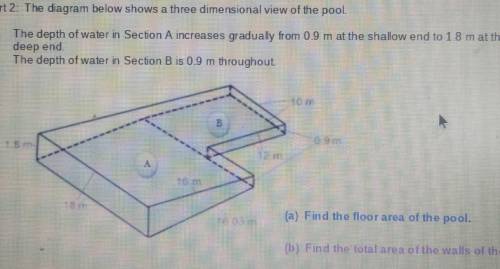 HELP PLEASE! area of a pool