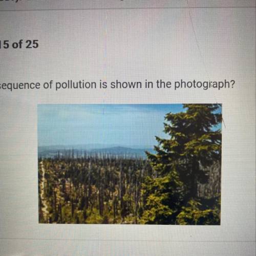 Which consequence of pollution is shown in the photograph? A. Pollutants react with water and are de