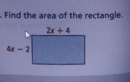 Find the area of the rectangle polynomial