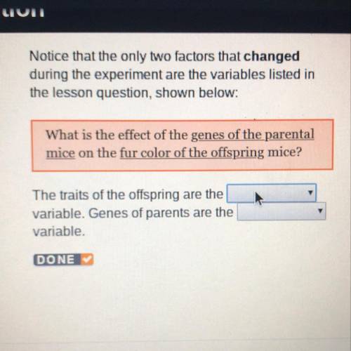 The traits of the offspring are the ____ variable. genes of parents are the _____ variable