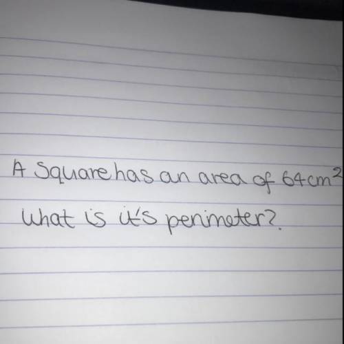 What is it’s perimeter???