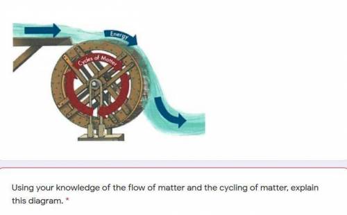 Using your knowledge of the flow of matter and the cycling of matter, explain this diagram.
