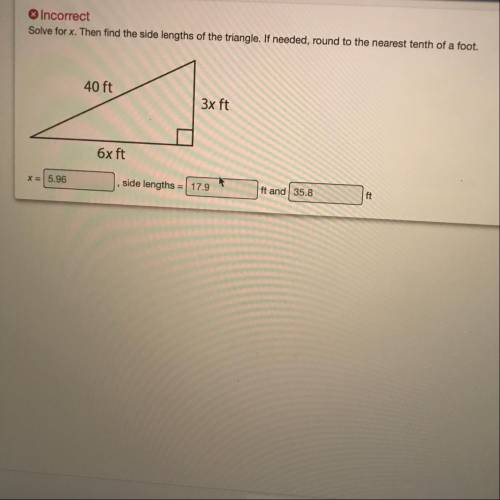 Can anybody give me the right answer please ASAP