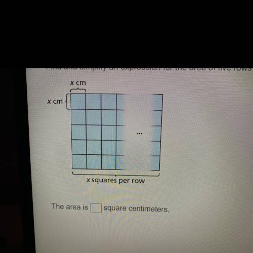 Find and simply an expression for the area of five rows x squares with side lengths of x centimeters
