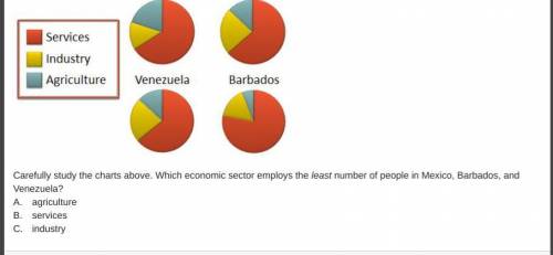 Carefully study the charts above. Which economic sector employs the least number of people in Mexico