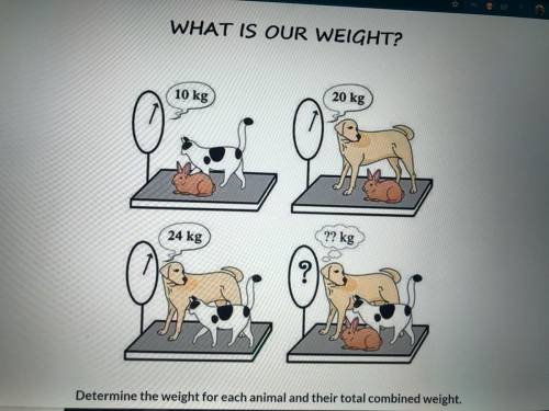 Determine the weight for each animal and their total combined weight?