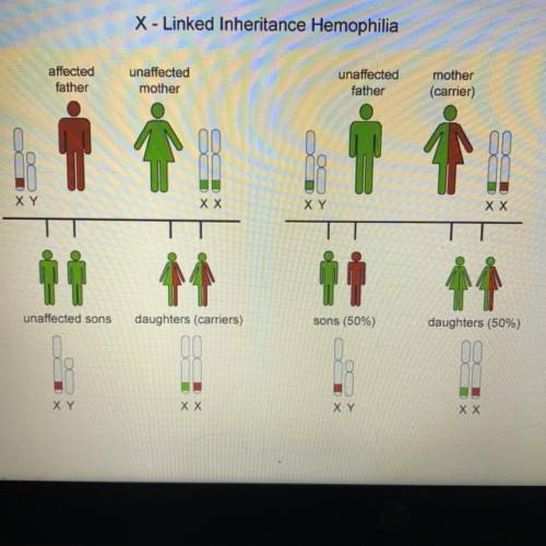 Is the gene that cause hemophilia recessive or dominant? Use the image to explain your reasoning