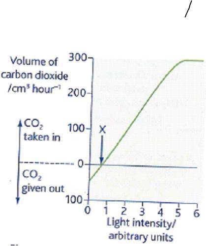 Explain why, at point X, carbon dioxide is neither taken up nor given out by the tomato plants. (1)