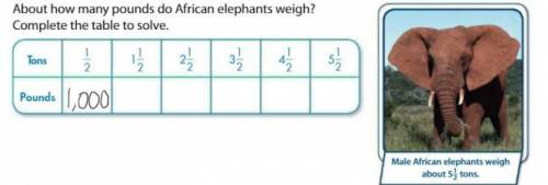 About how many pounds do African elephants weight? Answer in a complete sentence. **Look closely at