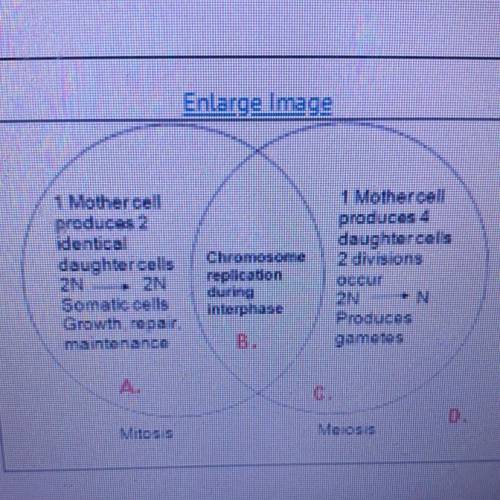 Meiosis is key to genetic differences within a gene pool that helps to drive natural selection. Cons