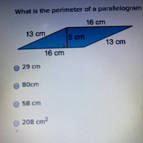 What is the perimeter of a parallelogram with side lengths 13 centimeters and 16 centimeters