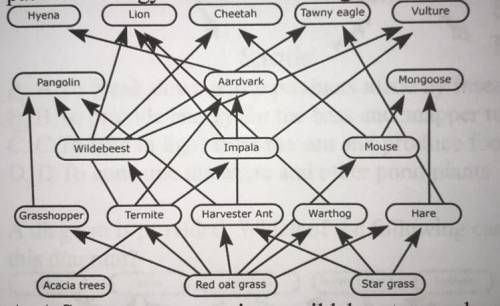 Food webs diagram the complex relationships of energy flow in an ecosystem containing a variety of