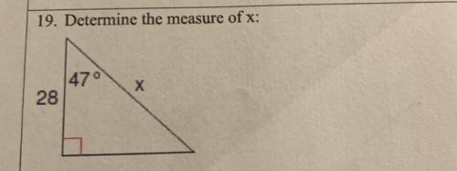 Determine the measure of x