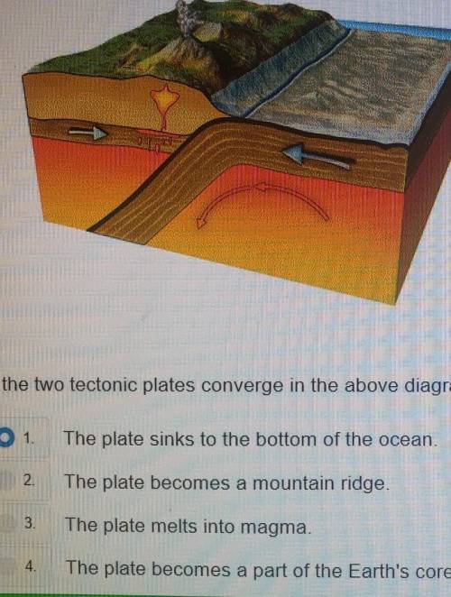 As the two tectonic plates converge in the above diagram, what happens to the plate that is pushed